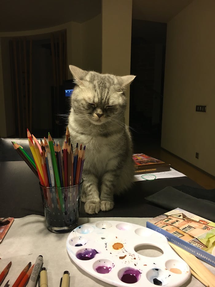 Home Cute gray tabby cat sitting among colorful art supplies on a desk, creating a cozy indoor scene.
