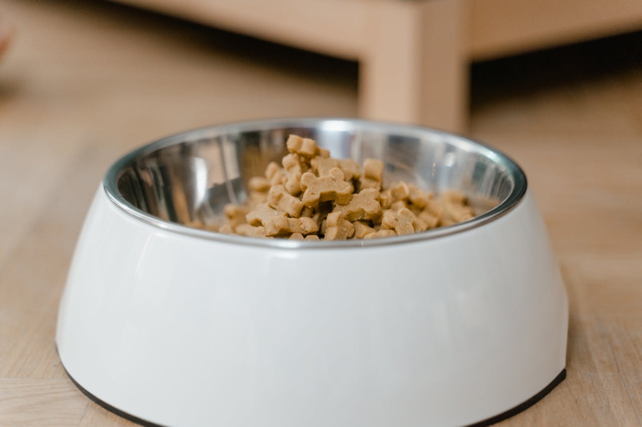 services-03 A stainless steel dog bowl filled with dry dog treats on a wooden floor.